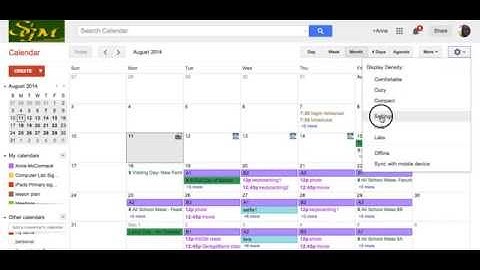 Google calendar custom view