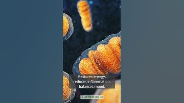 You’re not lazy — your nervous system is tired of running on fumes.