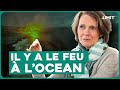 Si locean tombe nous tombons avec lui   claire nouvian  limit climat pecheindustrielle