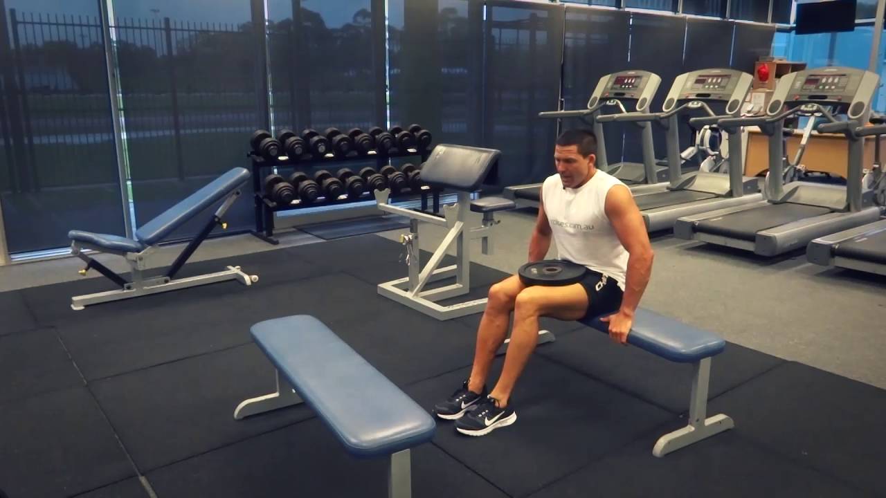 Weighted Bench Dip Exercisescomau Youtube