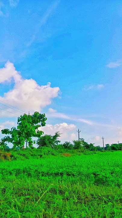 Omg,💞😌#youtube #song #oldsong #mp3 #music #ytshort #subscribe #like #old#vlog #kumarsanu