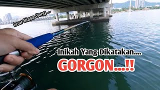 GORGON..!! Luar Biasa Saiznya Geng || Idaman Pemancing Jambatan Pulau Pinang #penangbridge