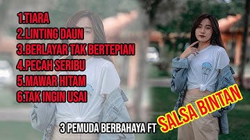 SALSA BINTAN FT 3 PEMUDA BERBAHAYA FULL ALBUM TERBARU 2022 TANPA IKLAN || Linting daun pecah seribu