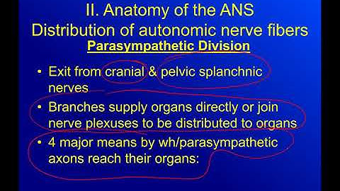 AP2 Chapter 16 Autonomic Nervous System Part 2
