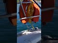 Come ormeggiare di poppa la barca - Iscriviti al canale e guarda il video completo! 👆