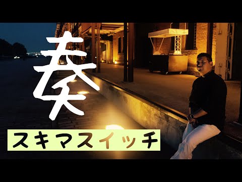 fumiの歌ってみた「奏」