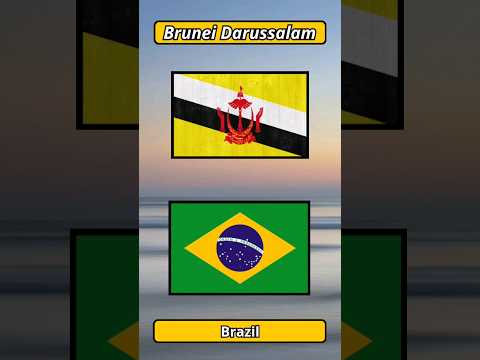 Perbandingan Brunei Darussalam dan Brazil 🇧🇳🇧🇷 #shortvideo #negara #bendera