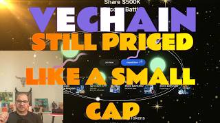 VECHAIN IS STILL PRICED LIKE A SMALLCAP...BUT... IT WONT STAY LONG