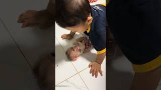 IMG 0446