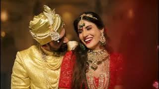 Nikon Z 8 Love stories | READY ACTION  | ã    ã  ³ã  ³