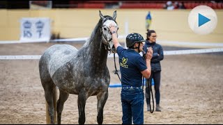 Clinic med Eamon Hickey