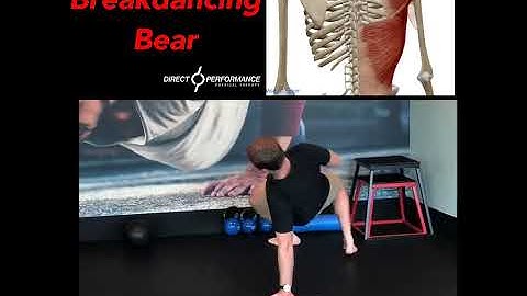 Shoulder Stability Series: Breakdancing Bear