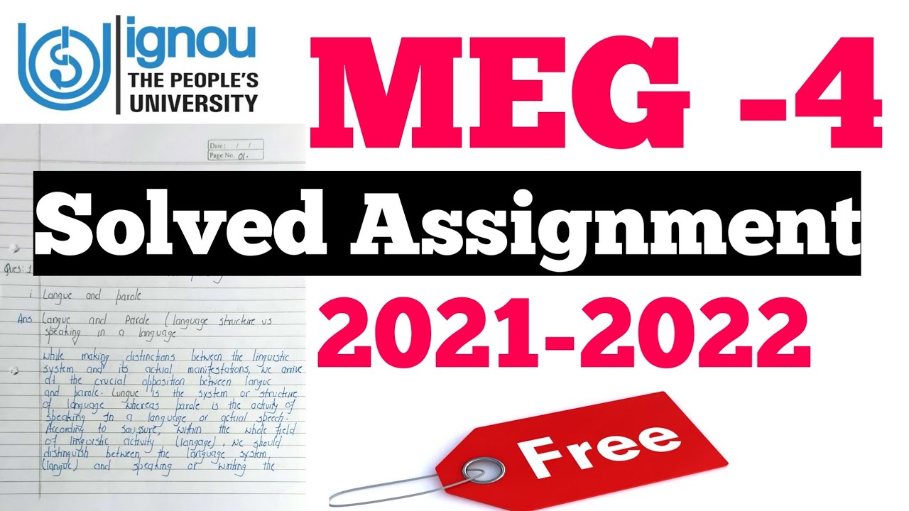 meg assignment submission date