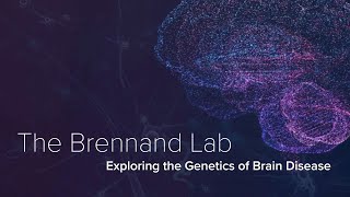 Genetics, Stem Cells, & Brain Diseases - The Brennand Lab at Yale School of Medicine