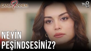 Neyin Peşindesiniz? - Canım Annem 338. Bölüm