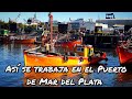 ASI SE TRABAJA EN EL PUERTO MAR DEL PLATA (NOV19)