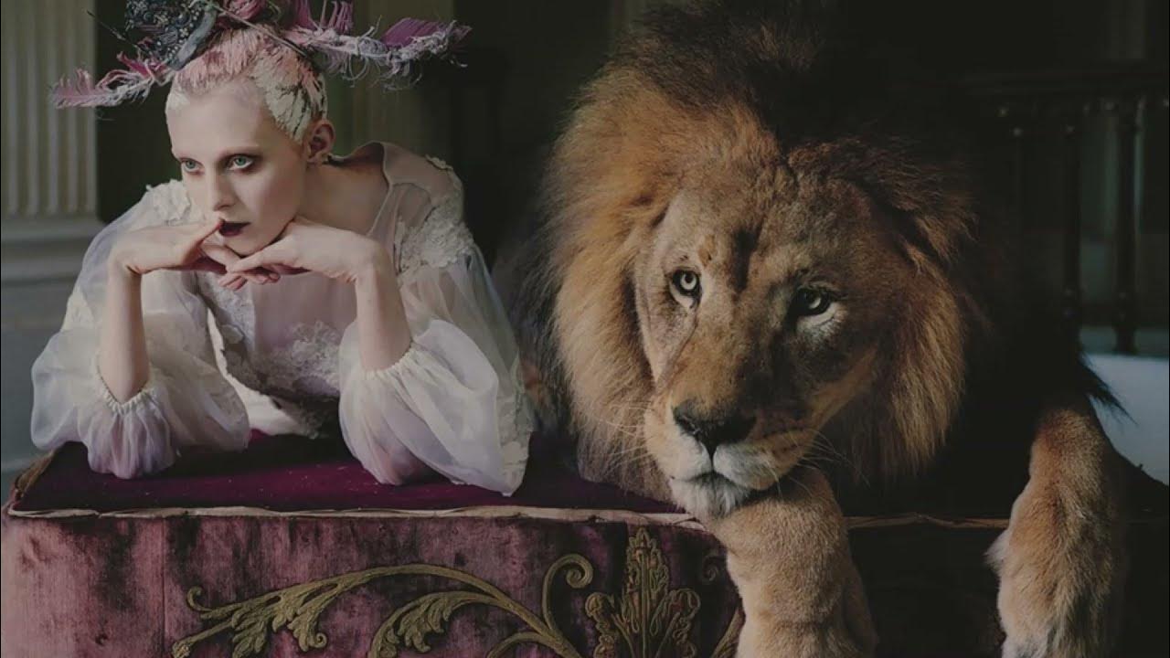 Steal my heart away The Paper Kites (ft. Ainslie Wills) YouTube