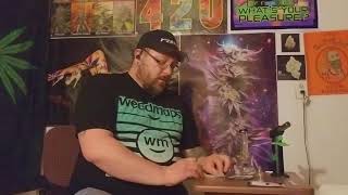 Terp slurper dab hits