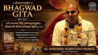 BG 14.7 HG Aniruddha Madhusudan Prabhuji - 19th June 2026#iskconrohiniofficial