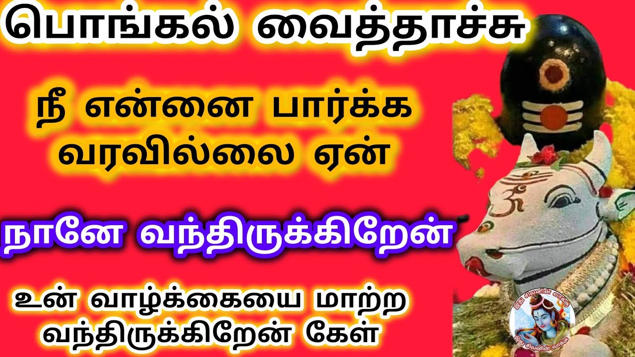 பொங்கல் வைத்தாச்சு என்னை பார்க்க வரவில்லை என்பதால் நானே வந்திருக்கிறேன் உன் வாழ்க்கையை மாற்ற