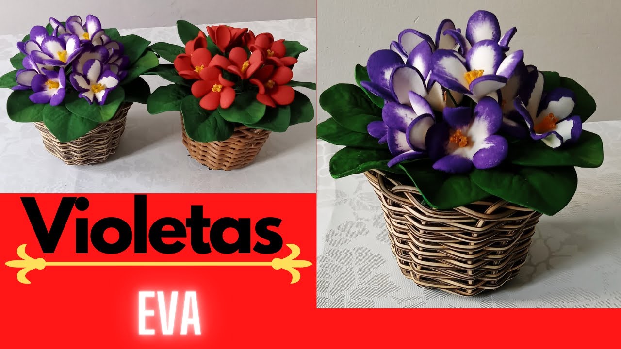 Violetas de Eva passo a passo.