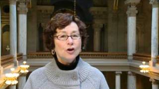 State Senator Vi Simpson - Mid Session Legislative Update - February 3, 2010