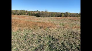 Dekalb County 117 Ac Land Auction. Bid on any combination or as a whole. Ends November 11th, 2025