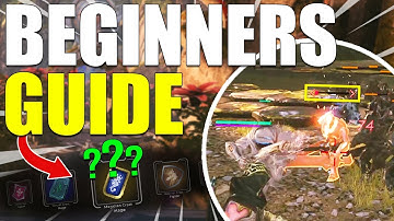 The ULTIMATE Beginner