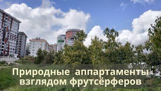 Природные аппартаменты в Турции. Взгляд фрутсёрферов