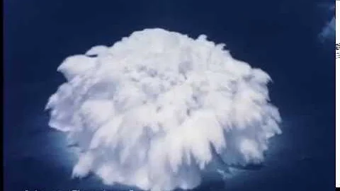 Hardtack Wahoo and Umbrella