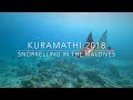 Snorkelling in the Maldives - Kuramathi - 2018