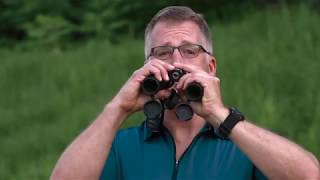 How to Use Binoculars for Birding