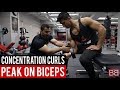 CONCENTRATION CURLS for PEAK on BICEPS! (Hindi / Punjabi)