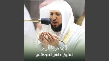 تلاوة من صلاة العشاء 11 ذو لقعدة 1441هـ