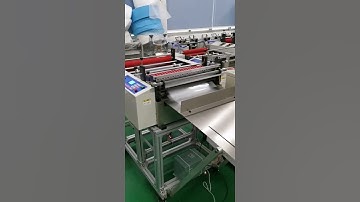 Automatic Adhesive Label Pvc Film Bopp Pvc Pet Pp Film Roll To Sheets Cross Cutting Machine