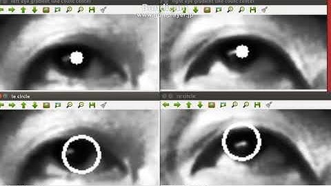 IRIS Tracking with Raspberry Pi