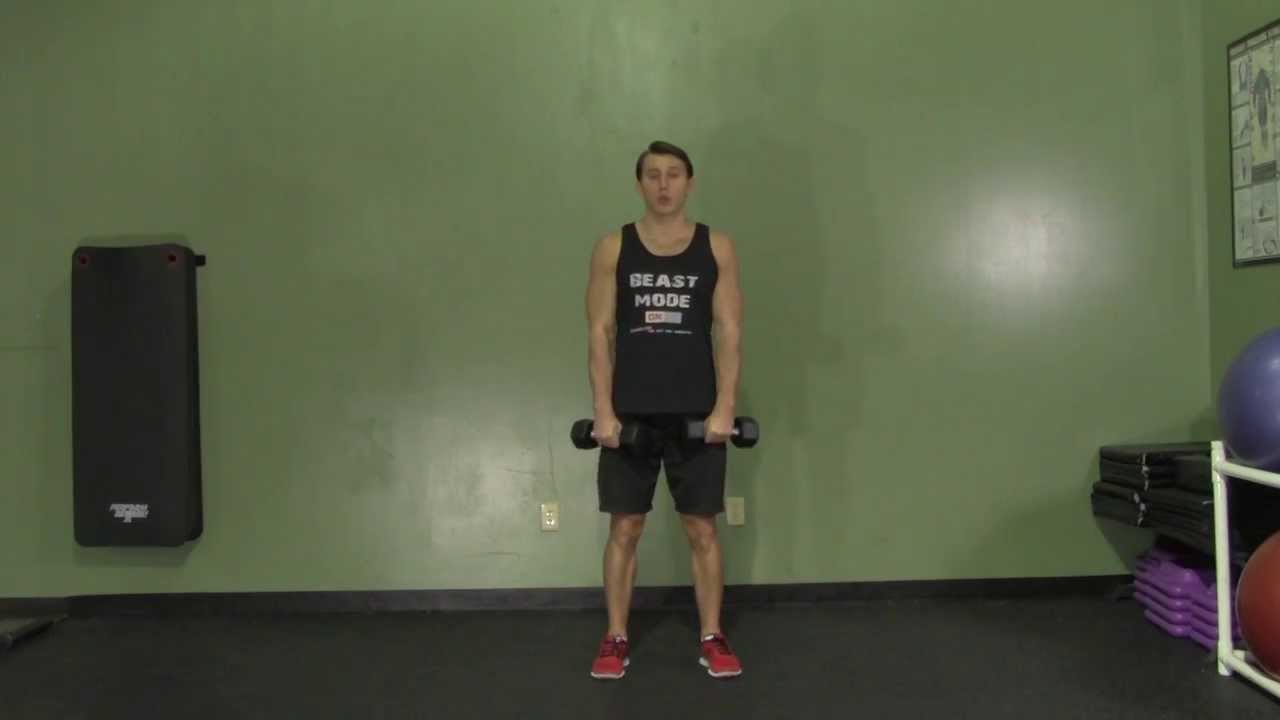 biceps exercises gym Dumbbell Reverse Curls - HASfit Biceps Exercise - Dumbbell Bicep Exercises
