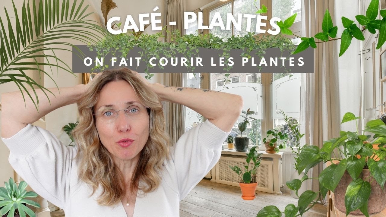 ☕️🪴 Café-plantes : petit vlog avec de la chlorophylle 😉🌿
