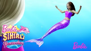 LA MISTERIOSA 💕🧜‍♀️ | Barbie y los Delfines Mágicos | Sirena en Español Latino - YouTube