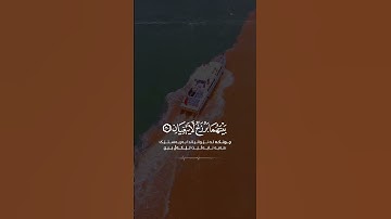 📜 |سورة الرحمن 🎙 | اسلام صبحي