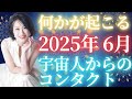 宇宙人からのコンタクト 2025年6月何かが起こる #高橋是清 #西きほこ #数秘術 #易 #占い