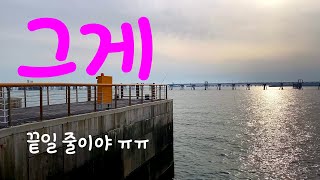 ??SUB 숭어야, 왜 처다만 보고 갔니