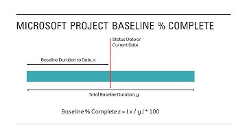 Microsoft Project Baseline Percent (%) with Weighted Summary Roll-up