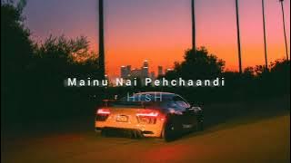 Mainu Nai Pehchaandi (slowed   reverb)