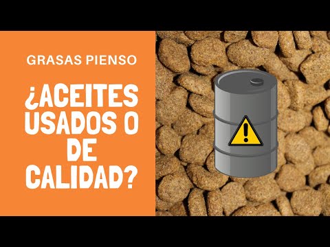 Video: Los ácidos Grasos Y La Dieta De Su Gato