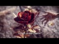 أنشودة براعم النجاح 