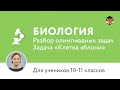 Биология | Подготовка к олимпиаде 2017 | Задача "Клетка яблони"