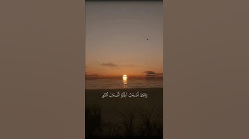 تلاوة مؤثرة للشيخ ياسر الدوسري