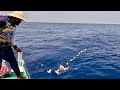 Catching King Fish &amp; Rosy Snapper in the Deep Sea