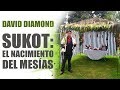 🔴  DAVID DIAMOND 2020 - NAVIDAD o TABERNÁCULOS: FECHA REAL DEL NACIMIENTO DEL MESÍAS #daviddiamond